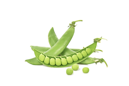 h3-product7.png