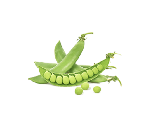 h3-product7.png