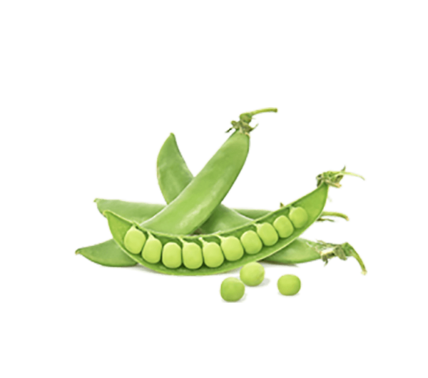 h3-product7.png