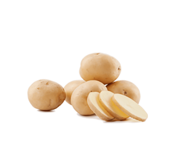 h3-product8.png